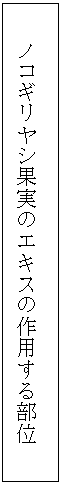 eLXg {bNX: mRMVʎ̃GLX̍p镔ʁ@@