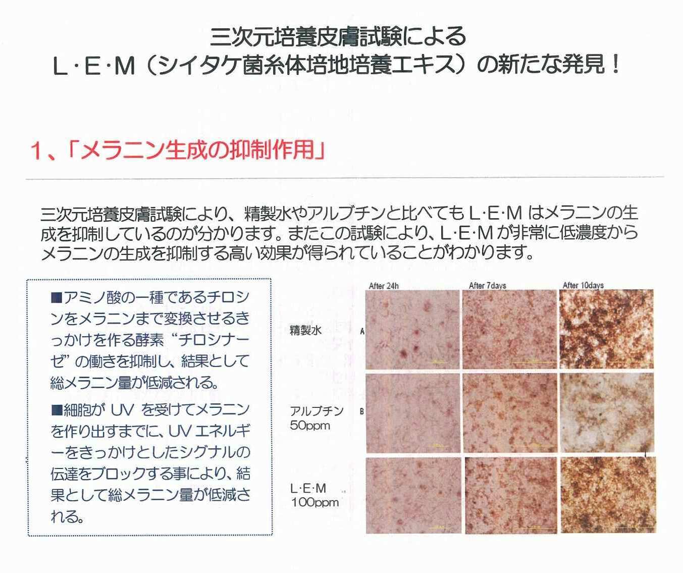 シイタケ菌糸体から抽出されたLEM コアレム