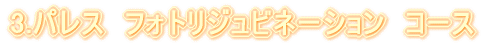 3.�p���X�@�t�H�g���W���r�l�[�V�����@�R�[�X